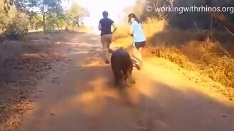 Прирученный носорожик - смотреть видео (1:07)