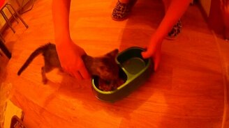 Ты не ты, когда голоден - смотреть видео (0:39)