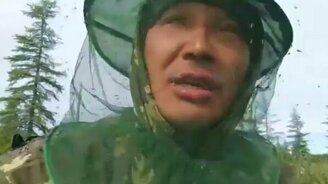 Чай с комарами - смотреть видео (0:45)