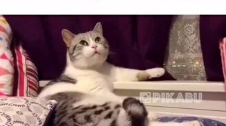 Когда ждешь девушку, пока она соберется. - смотреть видео (0:20)