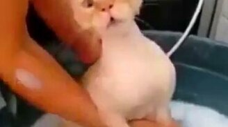 Так выглядит безысходность - смотреть видео (0:23)