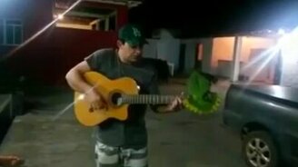 Гитарист и попугай отлично спелись - смотреть видео (2:51)