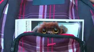 Смешной розыгрыш-пугалка - смотреть видео (1:39)