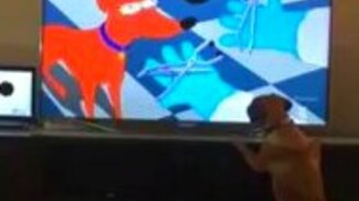 Собака - фанат мультфильмов - смотреть видео (0:54)