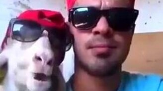 Смешная парочка - смотреть видео (0:42)