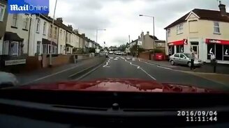 Воспитанная кошка-пешеход - смотреть видео (0:22)