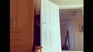 Разыграл свою собаку - смотреть видео (0:36)