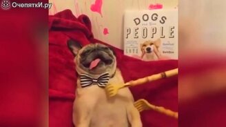 Короткие прикольности в сборнике - смотреть видео (3:26)