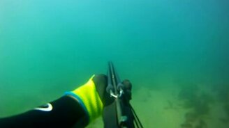 Опасное столкновение с акулой - смотреть видео (5:22)