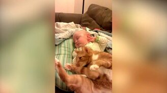 Кот ласкается к грудничку - смотреть видео (0:36)