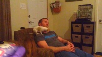 Казусы с собачками - смотреть видео (2:28)