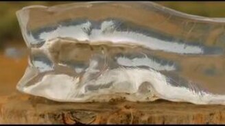 Пуля из пистолета против геля - смотреть видео (1:14)