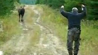 Охотник манит лося - смотреть видео (1:40)