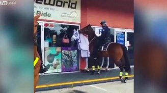 Обманутый конь - смотреть видео (0:22)