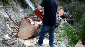 Пилим бревно на доски - смотреть видео (3:45)