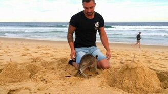 Кенгурёнок - мой лучший друг - смотреть видео (1:36)