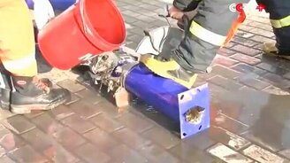 Спасение котёнка из трубы - смотреть видео (1:26)