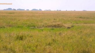 Отец спасает сына - смотреть видео (1:20)