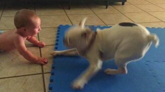 Два задорных друга - смотреть видео (0:17)