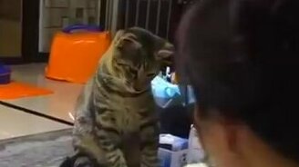 Можно шею свернуть от голода! - смотреть видео (0:35)