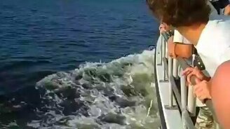 Катер против танкера - смотреть видео (1:51)