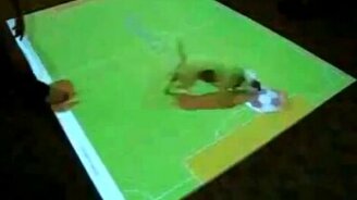 Собака футболист - смотреть видео (0:44)