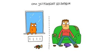 Что общего у котов и парней - смотреть видео (0:48)