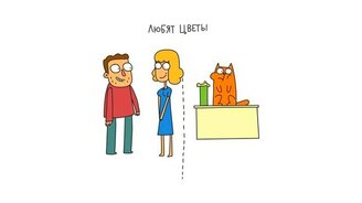 Общее у девушек и кошек - смотреть видео (0:53)