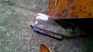 Кот приносит рыбку - смотреть видео (1:24)