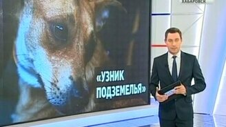 Освобождение узника подземелья - смотреть видео (0:42)