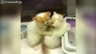 Приколы-коубы с озвучкой - смотреть видео (3:16)