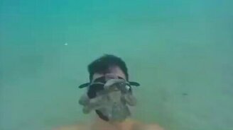 Пообщался с осьминогом - смотреть видео (1:46)