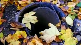 Камень в заброшенном нефтяном валу - смотреть видео (1:02)