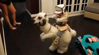 Забавный костюм маленького рыцаря - смотреть видео (0:41)