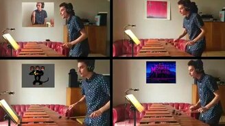 Милая мелодия на металлофоне - смотреть видео (1:18)