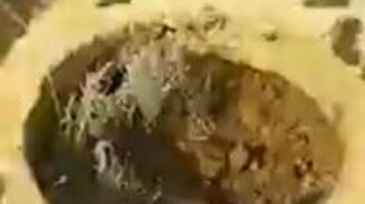 Где зимуют комары? - смотреть видео (0:27)