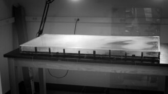 Эволюция бактерий в чашке Петри - смотреть видео (1:57)