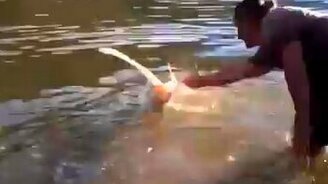 Выпустили знатный улов - смотреть видео (0:31)