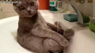 Забавные короткие курьёзы с озвучкой - смотреть видео (3:19)