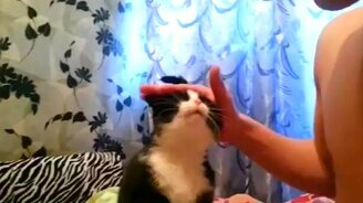 Ну, погладь! - смотреть видео (0:24)