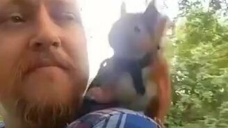 Спас белку - она стала другом - смотреть видео (0:31)