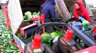 Машины для сбора урожая - смотреть видео (6:53)