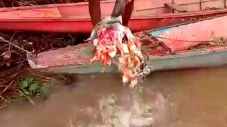 Безопасное кормление пираний - смотреть видео (0:50)