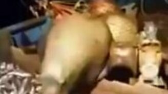 Рай для тюленя - смотреть видео (0:38)