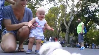 Подборка смешного и чудного - смотреть видео (8:58)