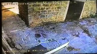 Кошка ловит голубя - смотреть видео (0:26)