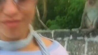 И кто из них обезьянка? - смотреть видео (0:11)