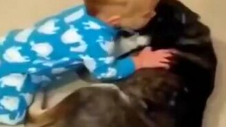 Малыш засыпает возле пса - смотреть видео (0:27)