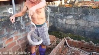 Ловец кобр вручную - смотреть видео (9:33)