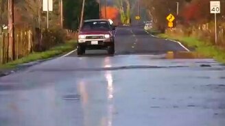 Рыба переплывает дорогу - смотреть видео (0:57)